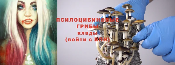 шишки Медногорск