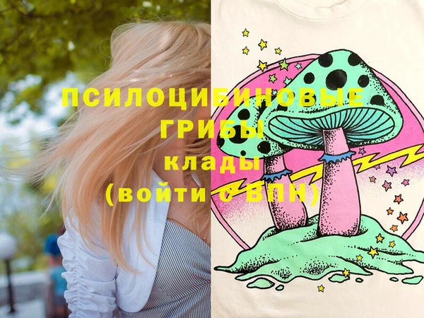шишки Медногорск