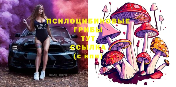 шишки Медногорск