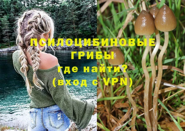 шишки Медногорск