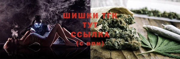 шишки Медногорск