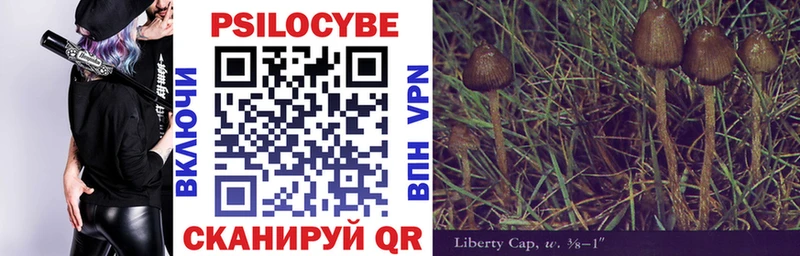 Галлюциногенные грибы мицелий  Южно-Сухокумск 